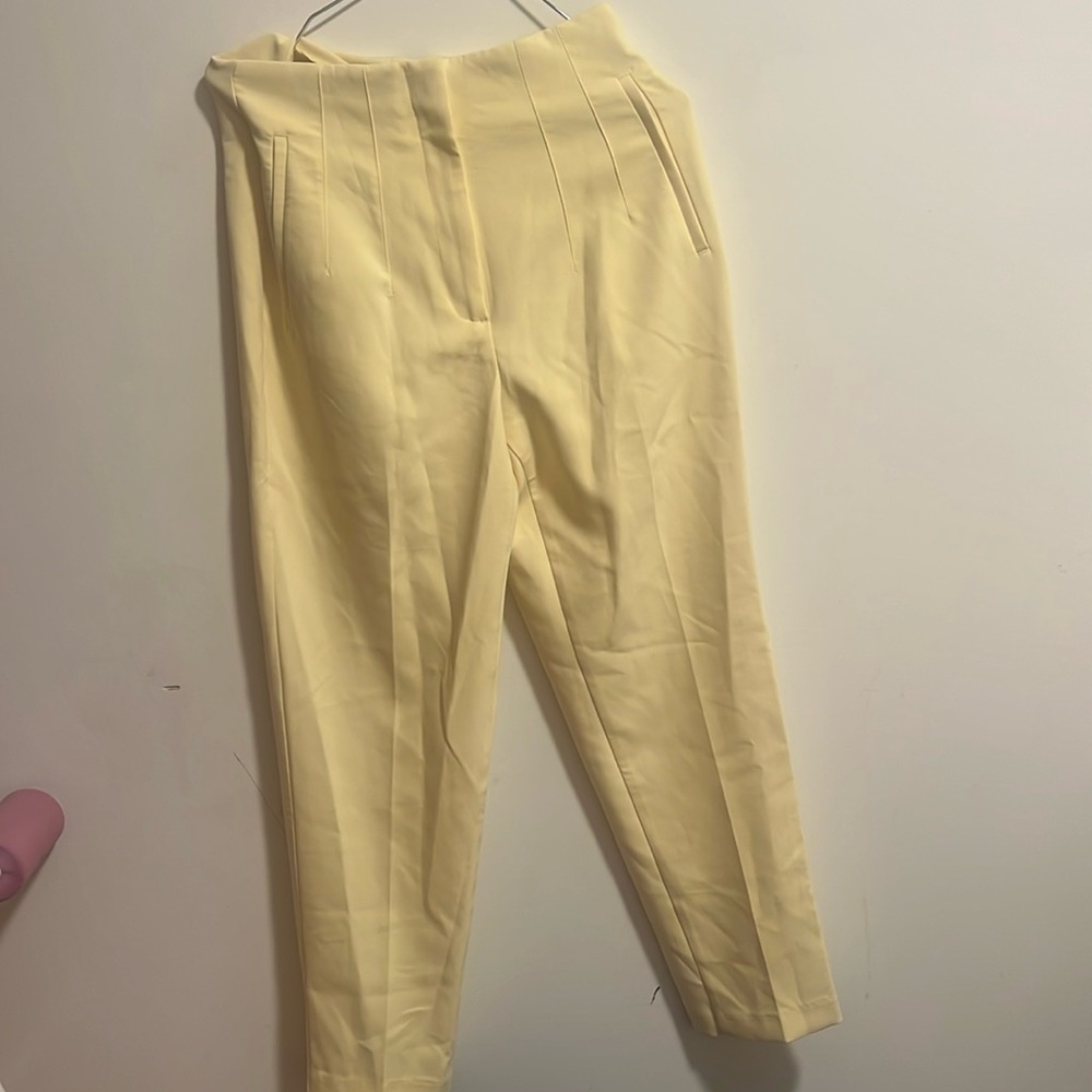 Zara pants